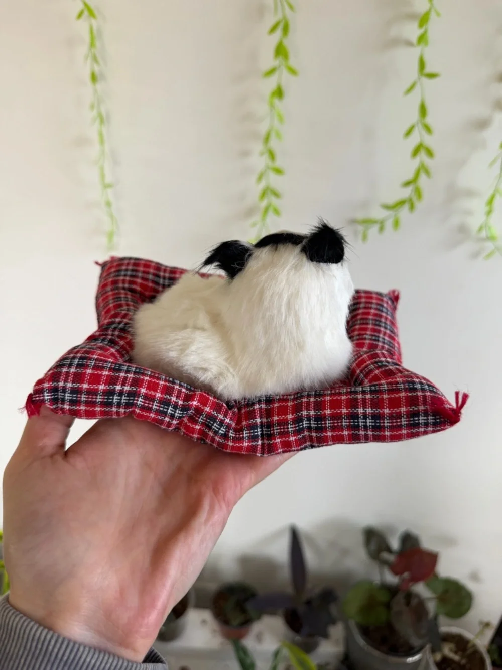 Plush Small Pet Bed with White Fluffy Cat figurine